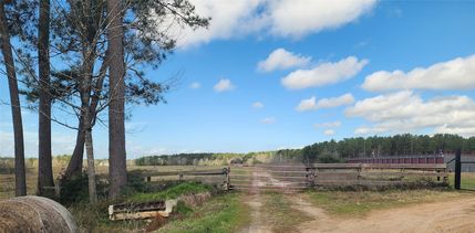 Undeveloped Land for sale in Polk County, Texas