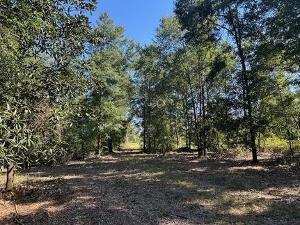 Undeveloped Land for sale in Mobile County, Alabama