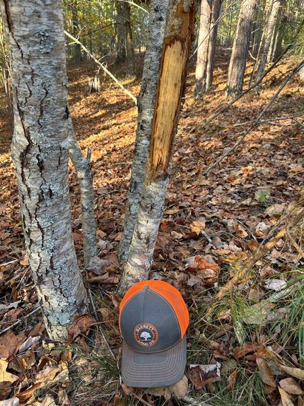 Property for sale in Polk County, Georgia