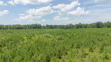 Property in Decatur County, Tennessee