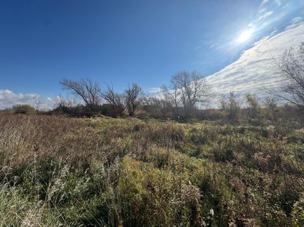 Property for sale in Olmsted County, Minnesota