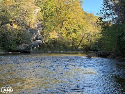 Hunting Land for sale in Stokes County, North Carolina