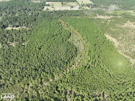 Timberland Property for sale in Allen Parish, Louisiana