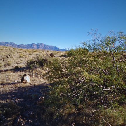 Property for sale in Mohave County, Arizona
