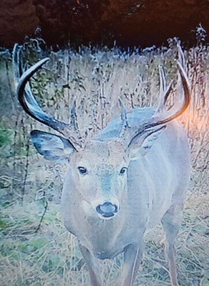 Property in Otter Tail County, Minnesota