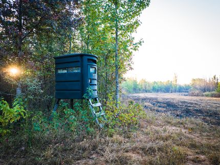 Property for sale in Clay County, Mississippi