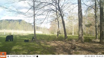 Property in Lycoming County, Pennsylvania