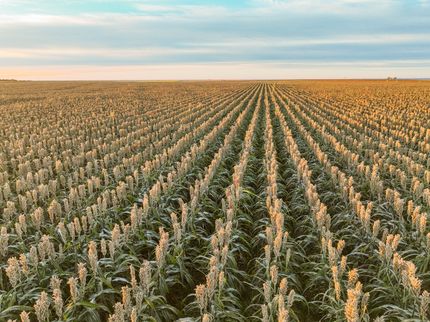 Property for sale in Ellis County, Kansas