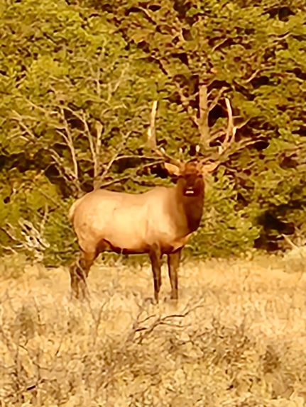 Property for sale in Rio Arriba County, New Mexico