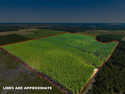 Property for sale in Marion County, Georgia