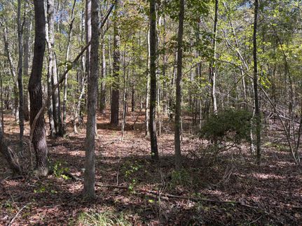 Property for sale in Bibb County, Alabama