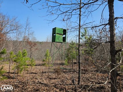 Property for sale in Searcy County, Arkansas