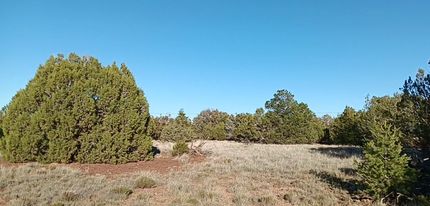 Undeveloped Land for sale in Apache County, Arizona