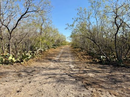 Hunting Land for sale in Wilson County, Texas