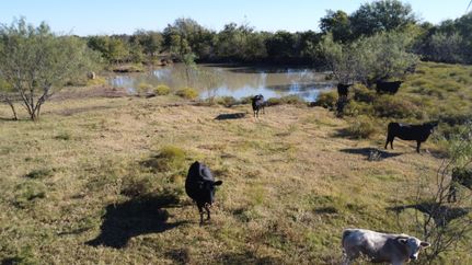 Ranch Property for sale in Hill County, Texas