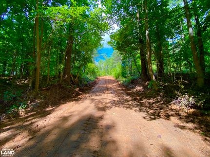 Property for sale in Perry County, Alabama