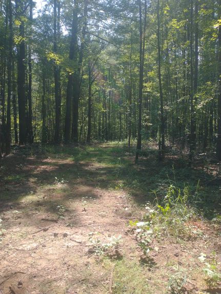 Property for sale in Coosa County, Alabama