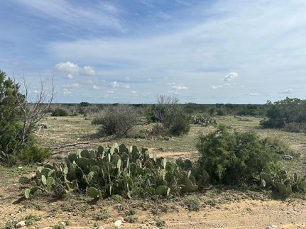 Property for sale in Crockett County, Texas