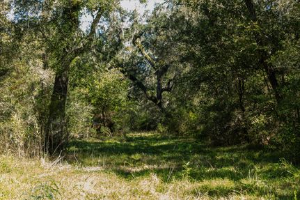 Riverfront Property for sale in Brazoria County, Texas