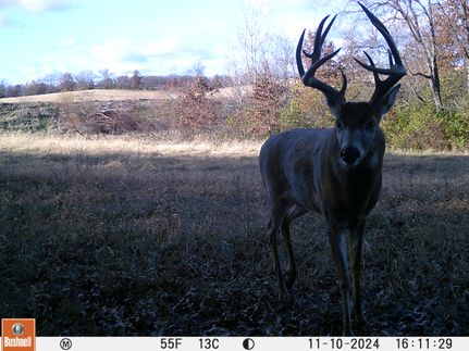 Hunting Land for sale in Sullivan County, Missouri