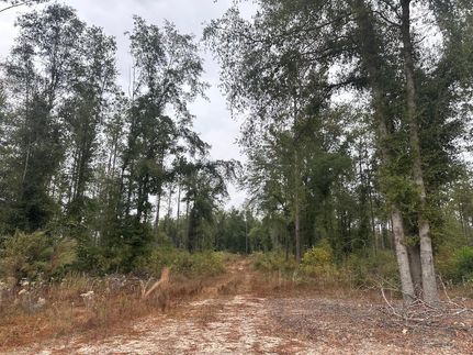 Timberland Property for sale in Covington County, Alabama