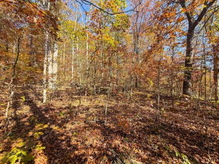 Undeveloped Land for sale in Meigs County, Ohio