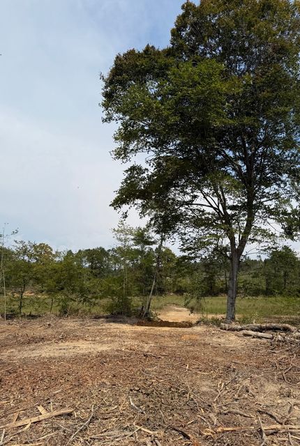Property in Webster County, Mississippi