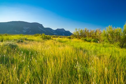 Recreational Property for sale in Presidio County, Texas