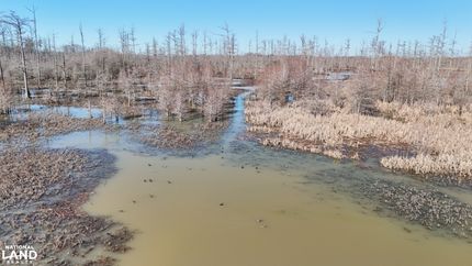 Timberland Property for sale in Monroe County, Arkansas