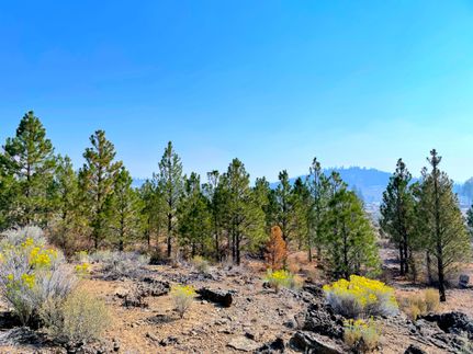 Undeveloped Land for sale in Klamath County, Oregon