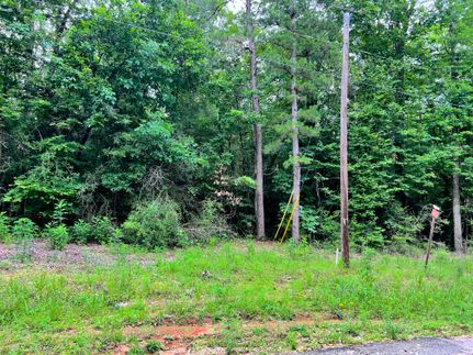 Property for sale in Tyler County, Texas