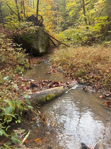 Property for sale in Perry County, Kentucky