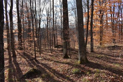 Property for sale in Marinette County, Wisconsin