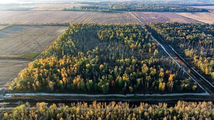 Timberland Property for sale in Wayne County, Illinois