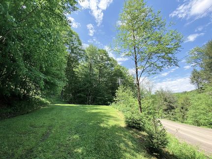 Undeveloped Land for sale in Steuben County, New York