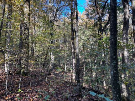 Property for sale in Pickens County, Georgia