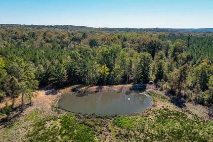 Property for sale in Wilkinson County, Georgia