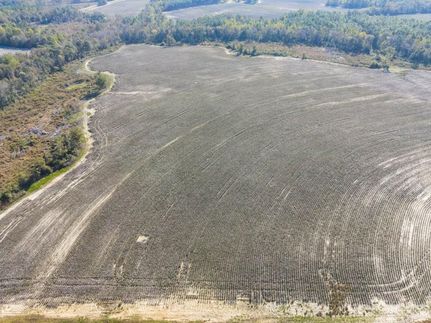 Farm Property for sale in Bulloch County, Georgia