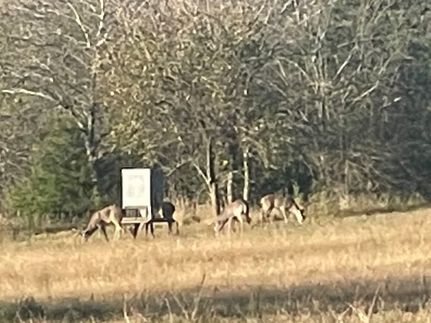 Property for sale in Delta County, Texas