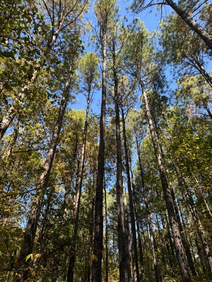 Property for sale in Laurens County, South Carolina