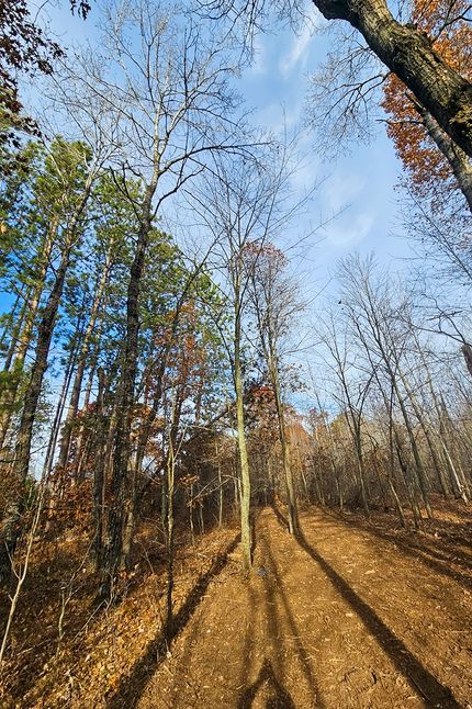 Undeveloped Land for sale in Burnett County, Wisconsin