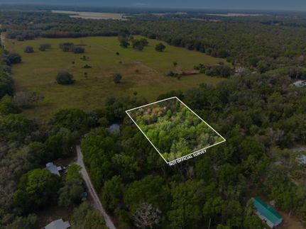 Timberland Property for sale in Dixie County, Florida