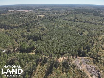 Timberland Property for sale in Simpson County, Mississippi