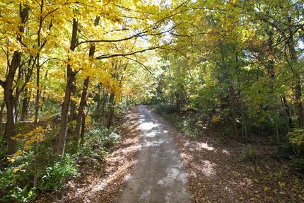 Timberland Property for sale in Marshall County, Illinois