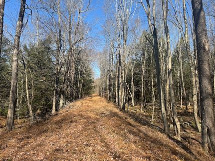 Property for sale in Sullivan County, Pennsylvania