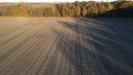 Property in Saginaw County, Michigan