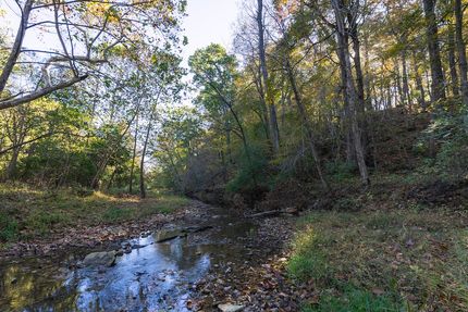 Ranch Property for sale in Pike County, Illinois