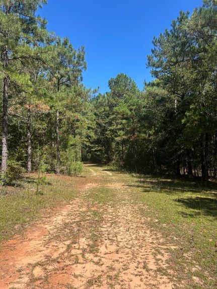 Property for sale in Pike County, Alabama