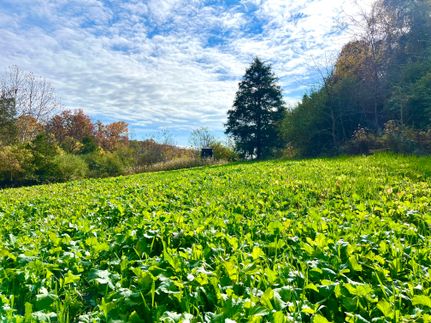 Property for sale in Highland County, Ohio