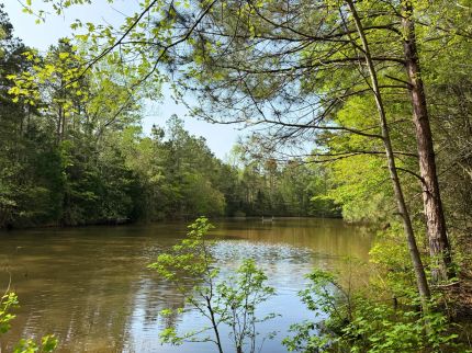 Property for sale in Shelby County, Texas